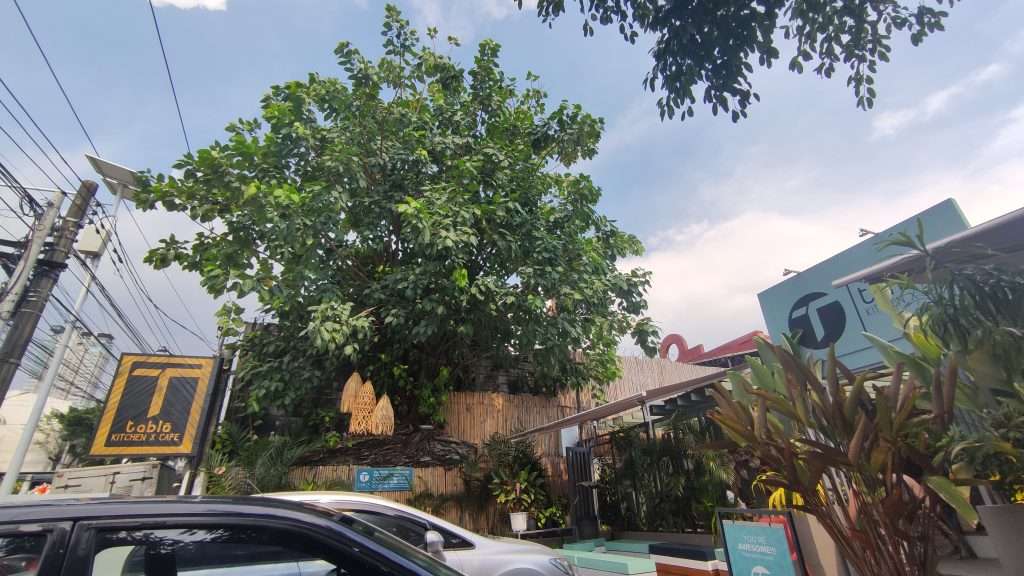 Salt and Pepper Pork Steak | Tablo Kitchen x Cafe 2 tablo scout borromeo parking area