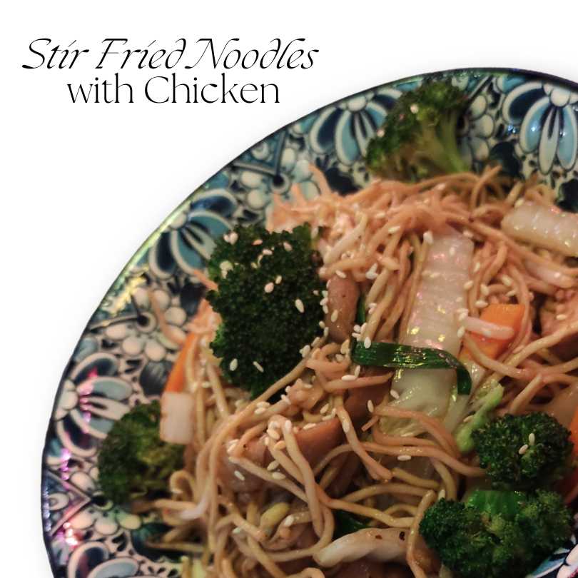 Stir Fried Egg Noodles with Beef or Chicken | Troi Oi