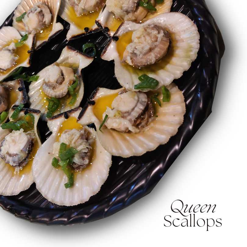 Queen Scallops | Larry’s Sarapoi