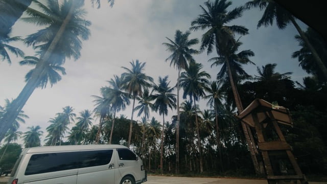 Van Medium