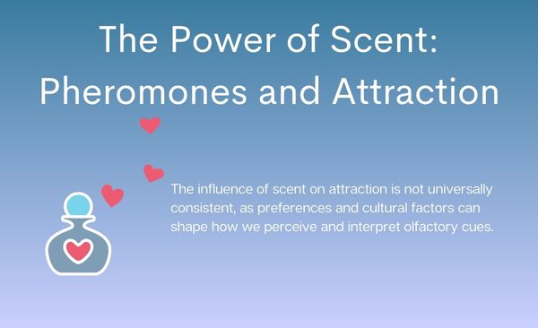 The Power of Scent Pheromones and Attraction